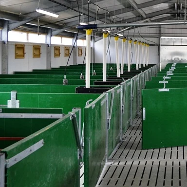 agricultural prefabricated pig farm house