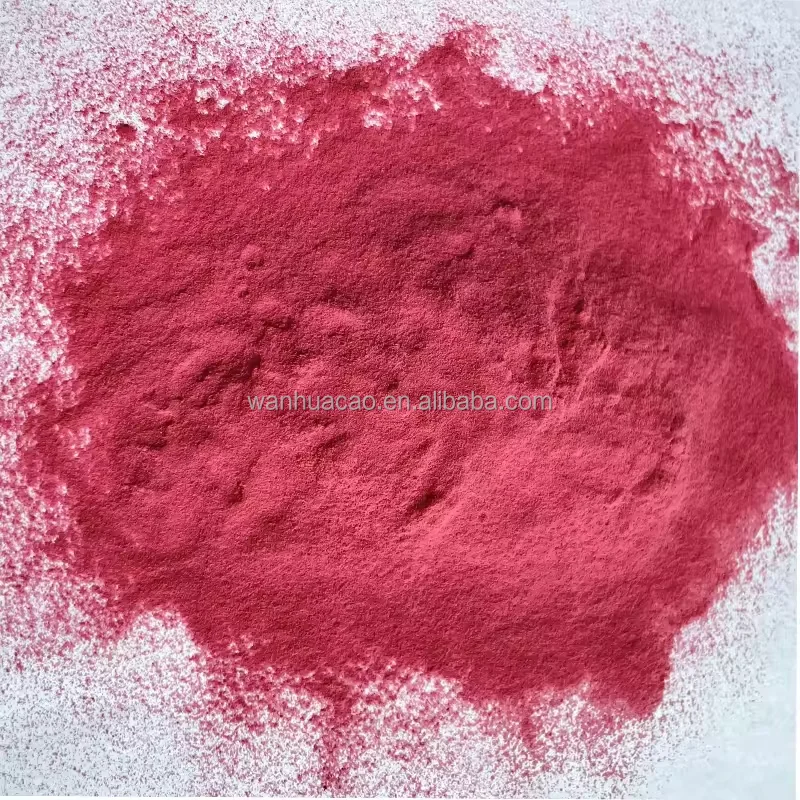 OEM Fruits and vegetables powder mixed dried fruits juice mixed powder drink fruits mixed powder