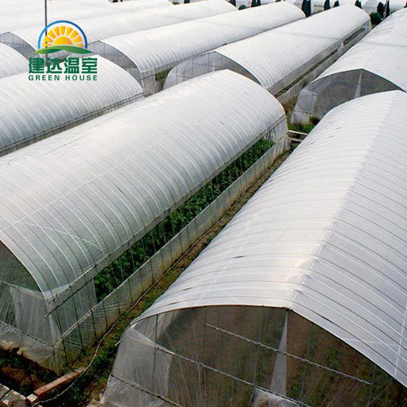 Small Strong garden 6x10m tunnel greenhouse