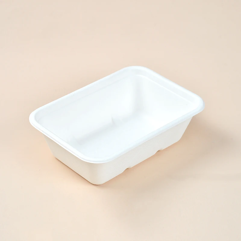 DBH650 High Temperature 650ml Disposable Lunch Box Takeaway Food Tray BBQ Baking Sugarcane Bagasse Containers with Lid