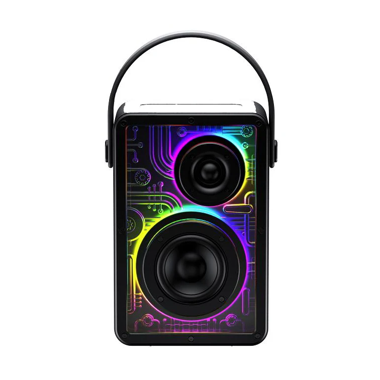 Havit SK861BT оптовая продажа двойной беспроводной микрофон Портативный RGB светодиодный свет BT колонки караоке