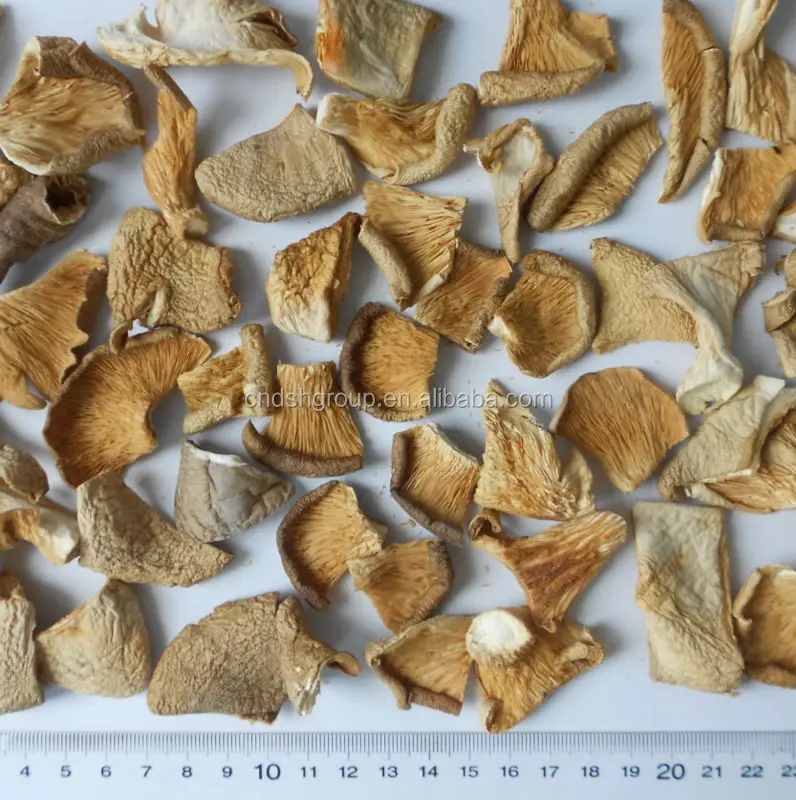 Китайские грибы вешенки 2*4см