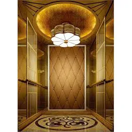 Vvvf Control Delicate Passenger Elevator with CE