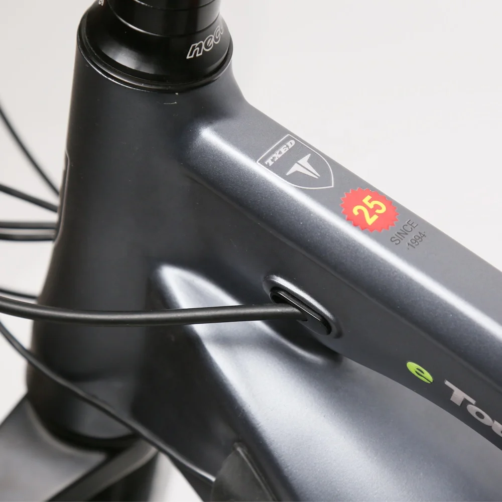 TXED fat tyre bafang motor electric bike LCD power display e bike mountain bike