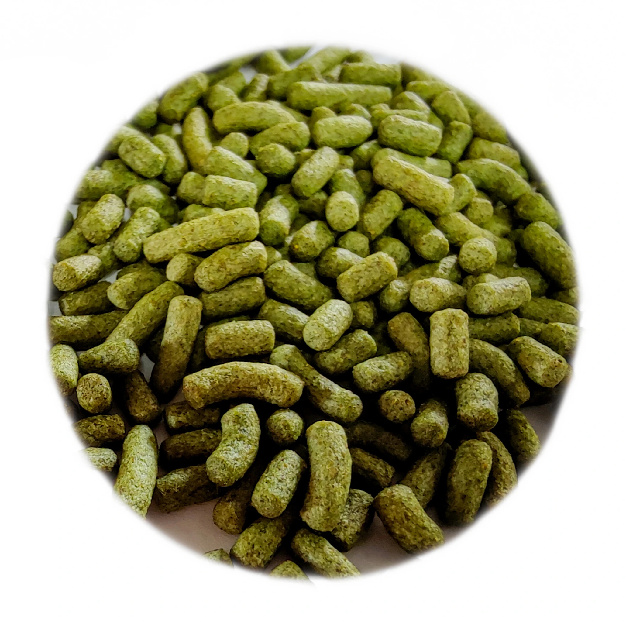 Поддержка индивидуального питания для черепахи с высоким содержанием белка