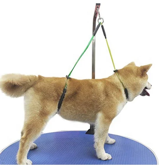 No Sit Haunch Holder Pet Grooming Loop Noose Stainless Steel Wire Rope Restraint Noose Grooming Tables arm Bath Dog