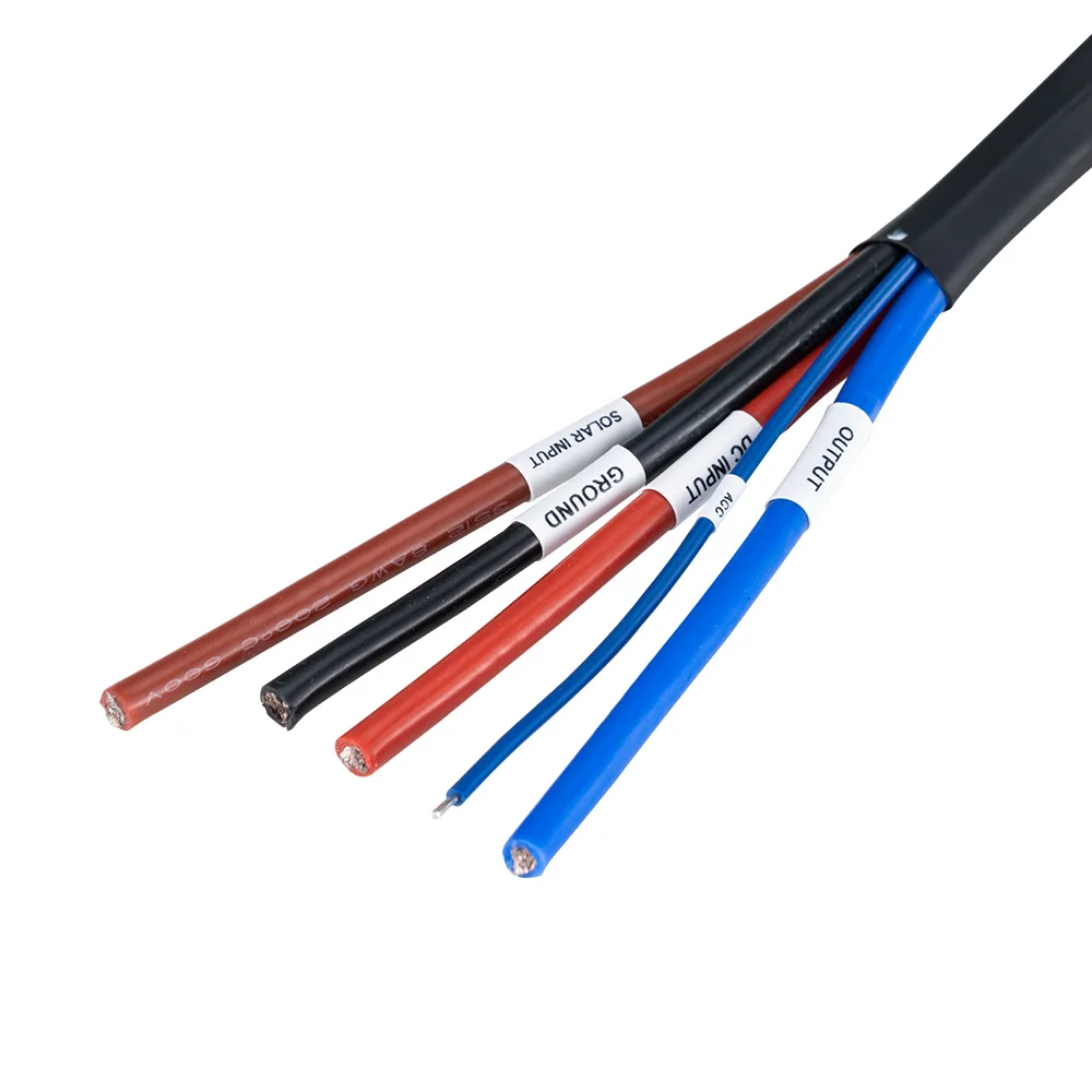 Anderson Plug 12 volt 60A LiFePO4 DC to DC Battery Charger and MPPT Solar Charger