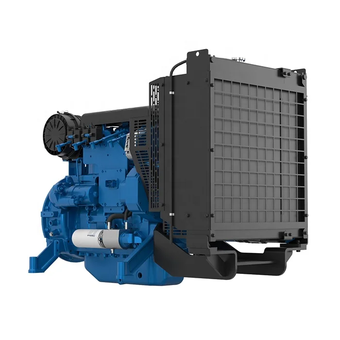 Industry power natural gas electric generator biogas to electricity generator biogas electric power generator