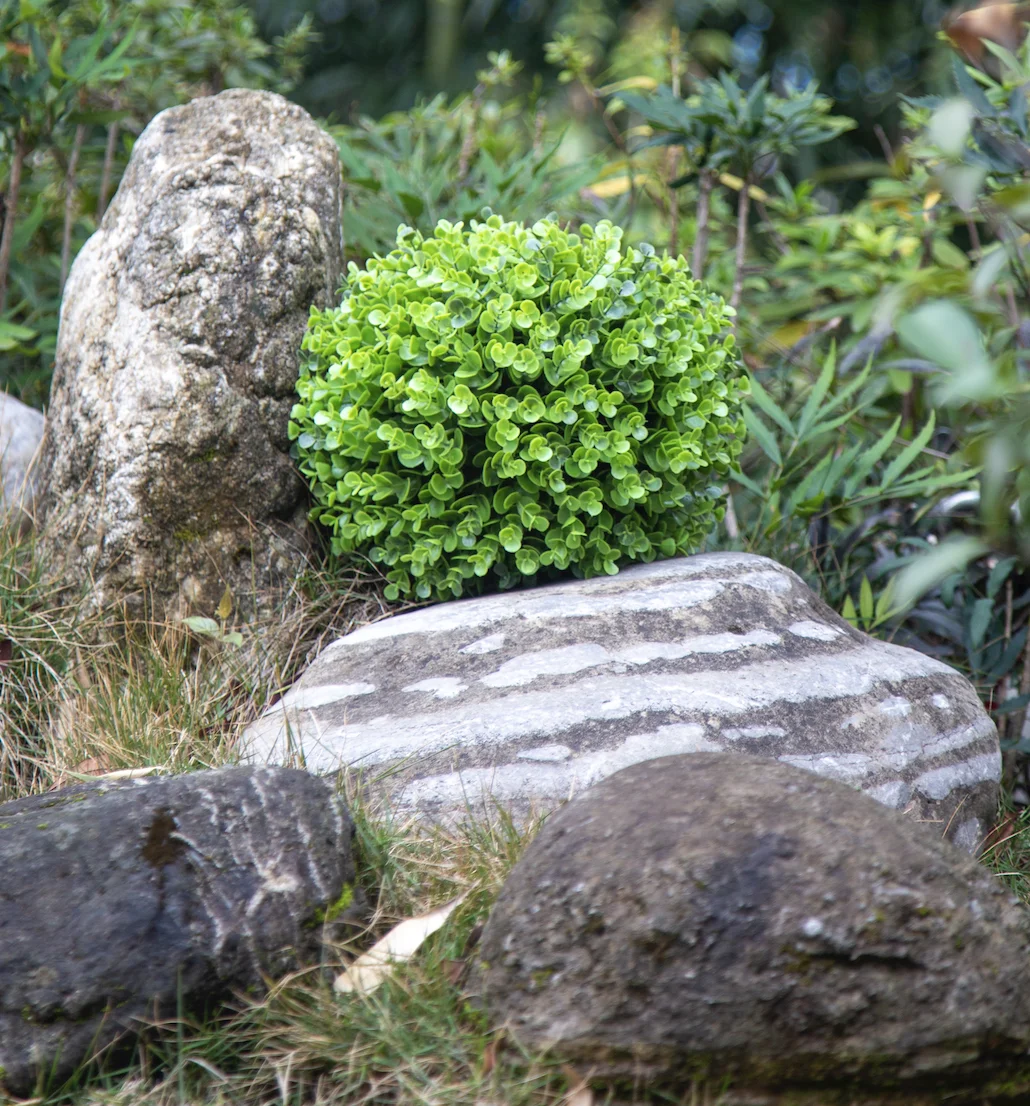 Xunmengyuan Direct Selling Hot Sale Pe Artificial Spring Green Eucalyptus Ball- 30cm for Indoor, Front Porch, Office Decor