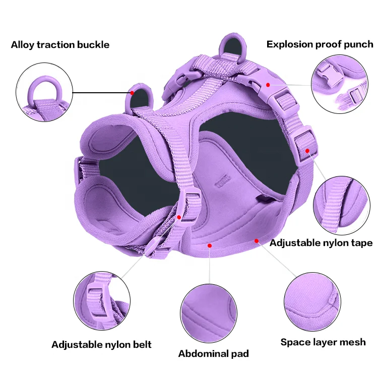 Custom Waterproof PVC Dog Harness Set Pet Poop Bag Holder Dispenser Dog Collar And Leash Four Pieces Set