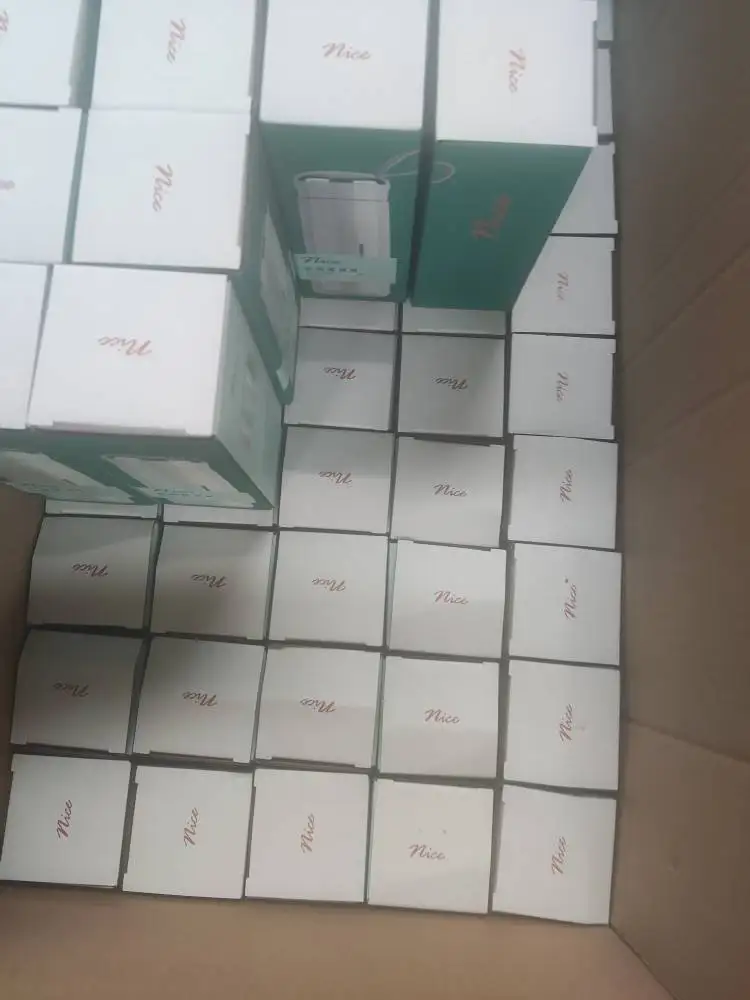 Fashionable Ness Glass 400ML Double Water Cup Female Ins Student Simple Trend Fresh Advertising Gift Cup Custom Cup