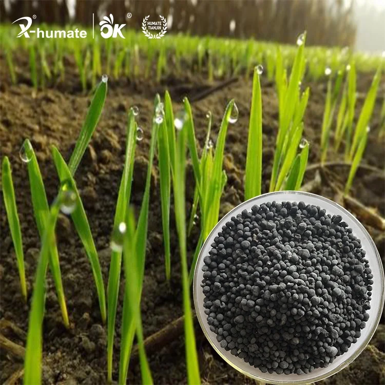 Производитель экстракта морских водорослей органическое удобрение регулятор роста растений гранулированное