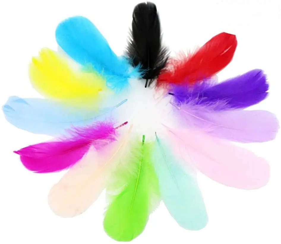 12 Pcs 6 Inches Colorful Small Goose Fluffy Feathers Decor Feather for DIY Craft Clothing Wedding Home Party Decorations