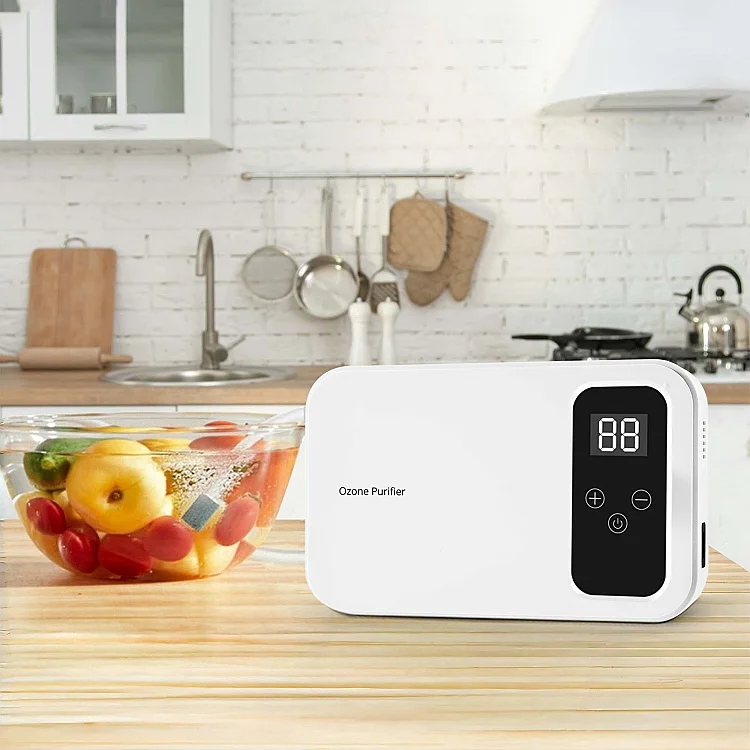 Household Ozone Generator for Air Water Effective in Removing Pesticide Residues Killing Bacteria for Vegetable Washers