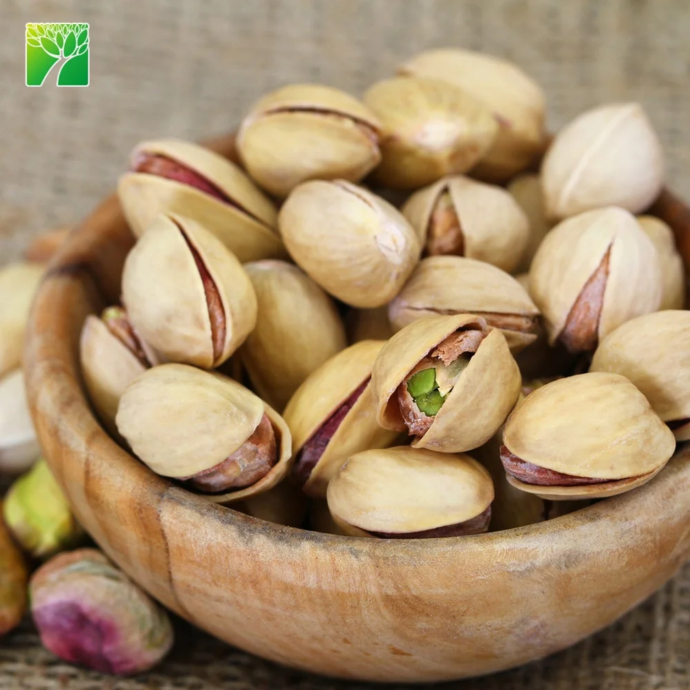 
Cheap wholesale pistacia vera fruit tree saplings pistachio tree plants seedlings from China 