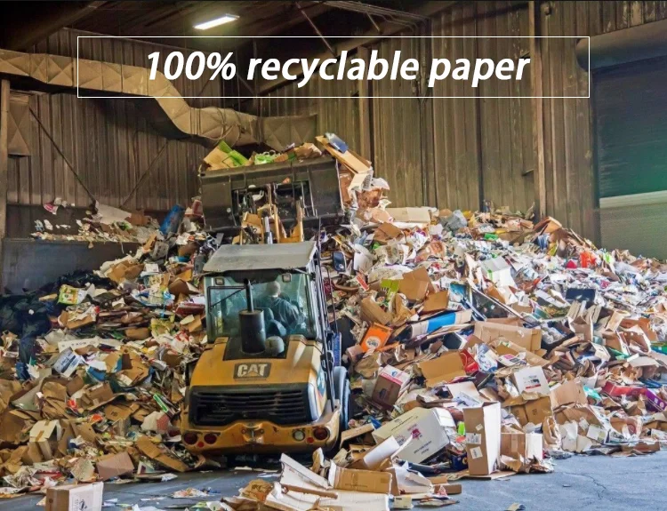 Eco-friendly Biodegradable E Commerce Express Custom Printed Satchel Postage Paper Mailing Bags