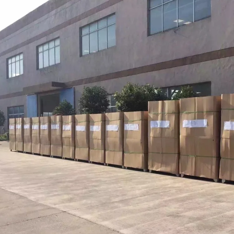 Lpg machines gas dryer for industrial commercial laundry shop