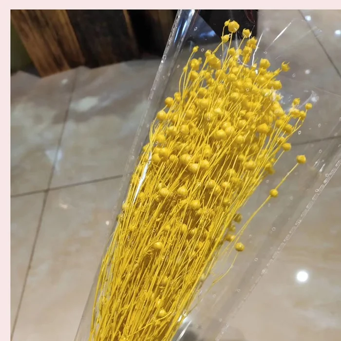 DIY Flower Arrangements Wedding Home Flower Decor Real Natural Dried Preserved Flax  Beans jequirity beans flowers