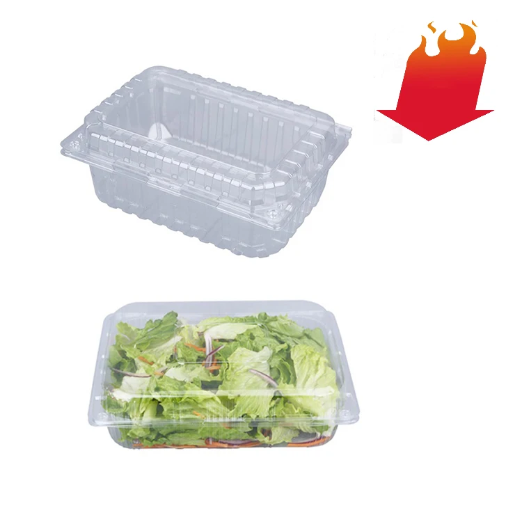 Wholesale Plastic Fresh Food Transparent Blister Food Tray Container For Food Packaging