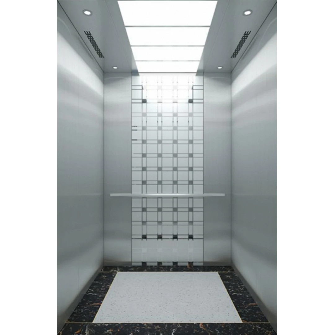 High Quality Fuji Elevator 450kg Capacity Home and Villa Passenger Lift for 6 People New Residential Elevator