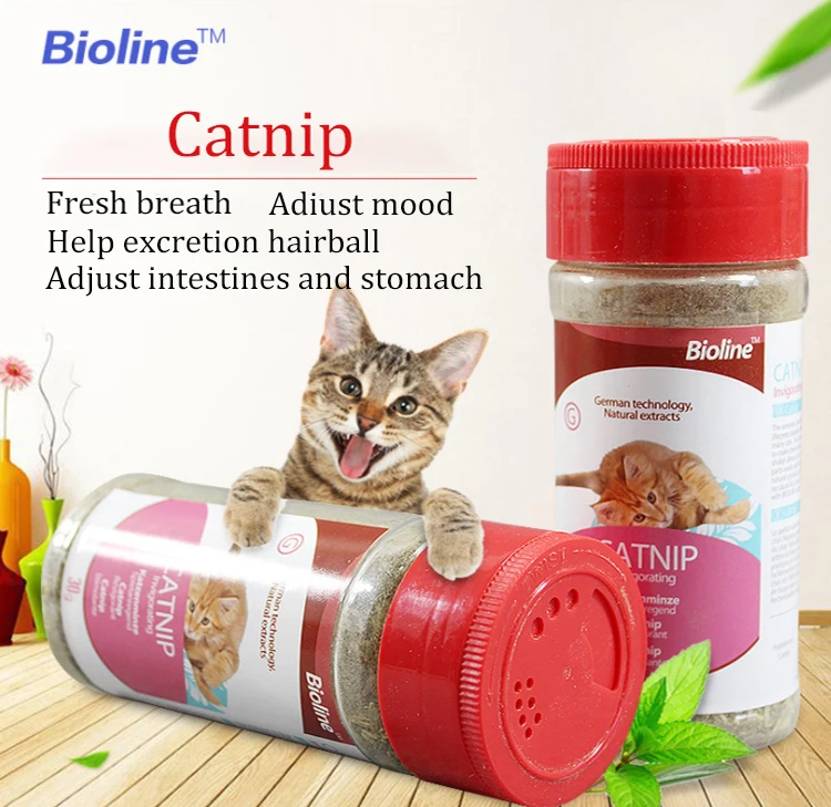 Fresh Breath Adjust Intestines The Aromatic And Long-Lasting Scent Cat Catnip