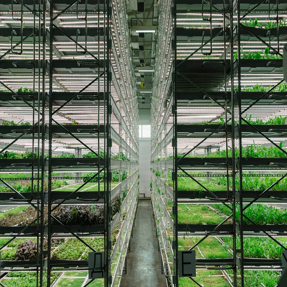 Horticulture Strip led Grow Lamp Weixinli T8 Plant Gow Lamp Greenhouse Plant Special on Plant Fill Light