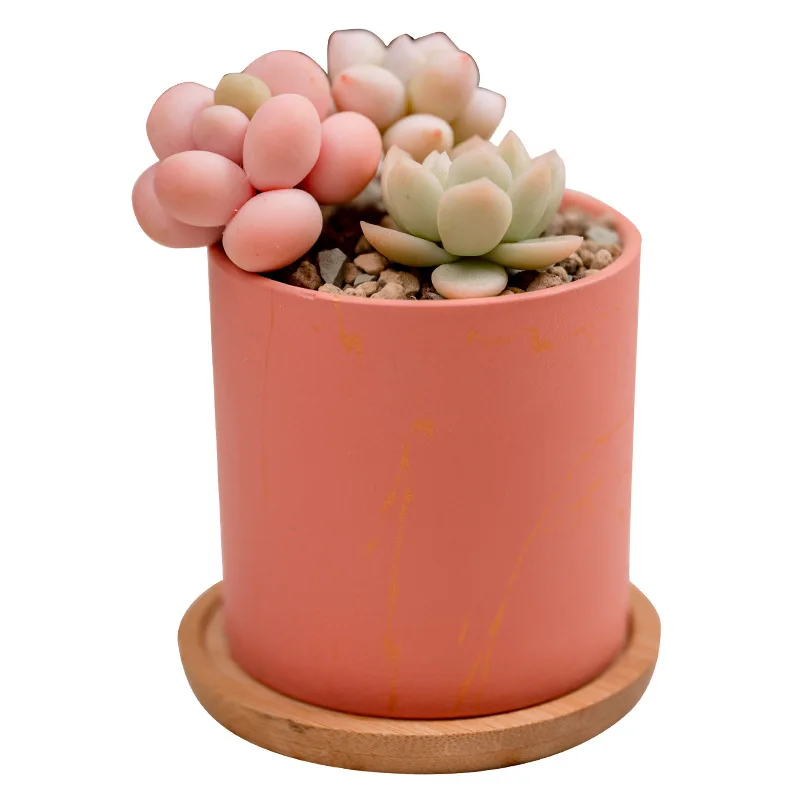 Wholesale Simple Color Ceramic Succulent Flower Pot