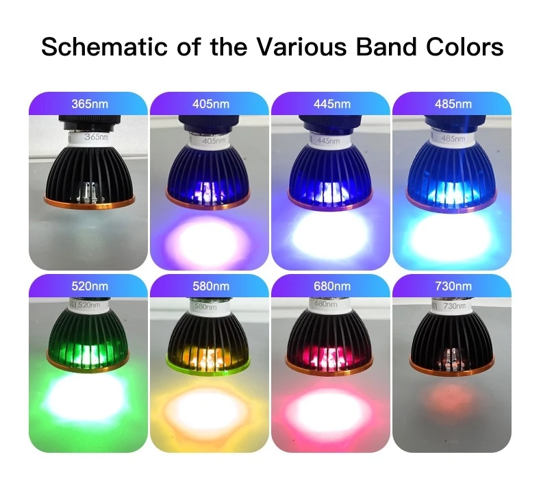 Newest 50W light efficiency UV curing lamp ultraviolet infrared blue yellow green light desk lamps with alternative UV head lamp