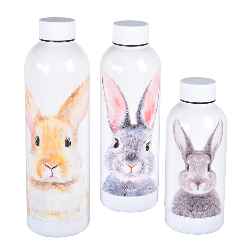 Custom Promotional Bulk Reusable Cute Stainless Steel Thermal Double Insulated 500 Ml Drink Gym Water Bottles For Adults