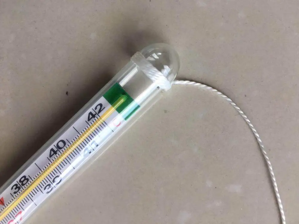 Недорогой ветеринарный клинический цифровой термометр без ртути для рекламы