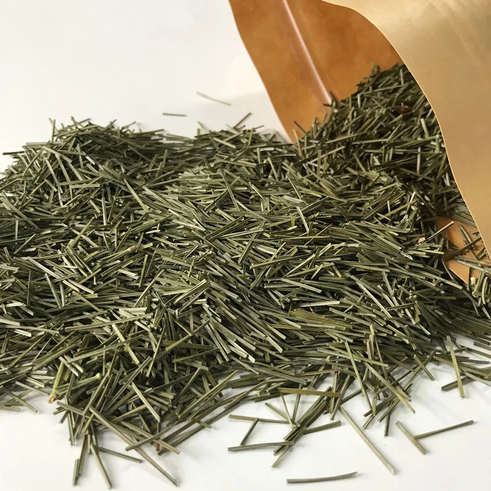 Song Zhen China 100% Natural Tea Good Taste Masson Pine Needle Tea