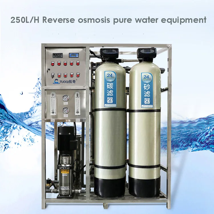 250 L/H  Water Treatment Machine Plant Purifier Ro Filter Reverse Osmosis System water purifier filter