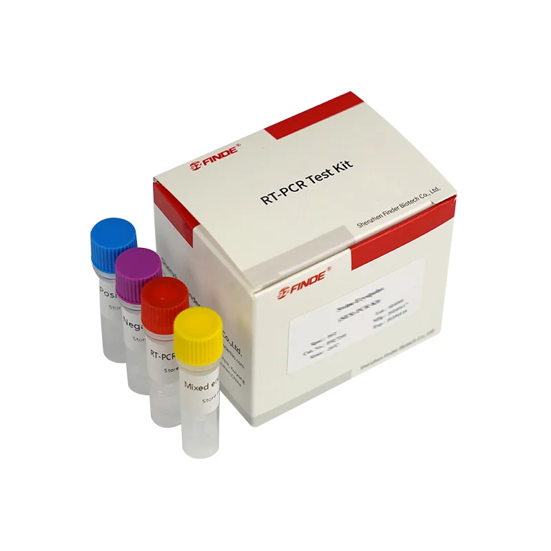 JEV RT-PCR Kit for Detection of Porcine Japanese Encephalitis Virus Veterinary Instrument for Accurate Diagnosis