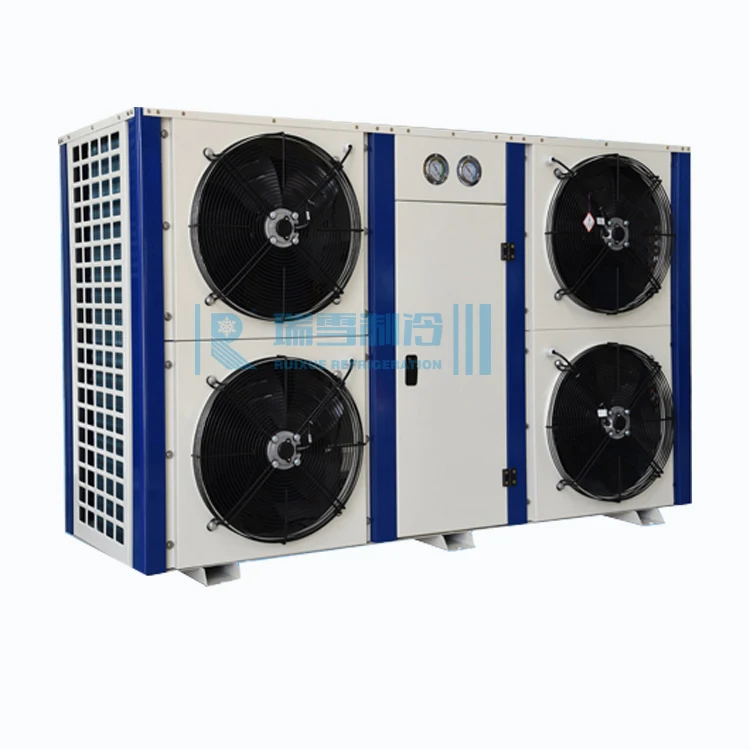 RUIXUE Condensing Unit For Cold Room Mini Air-cooled Refrigeration Condensing Unit RX-FNL-02MH