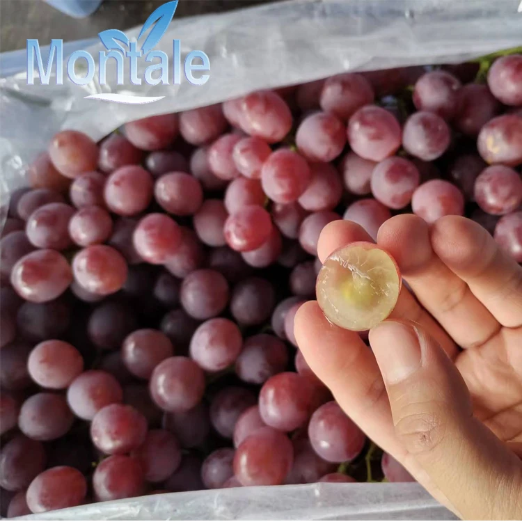 100% Natural Fresh Purple Grapes Super Sweet Grapes