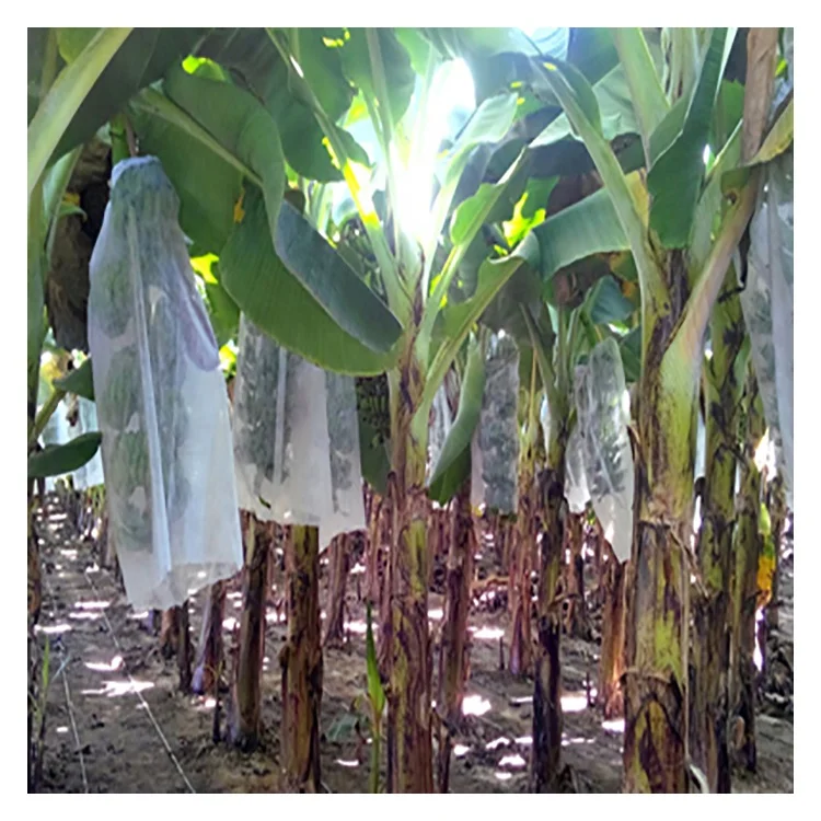 Wholesale Agriculture Garden pp spunbond nonwoven fabric for banana bag reusable eco friendly bags