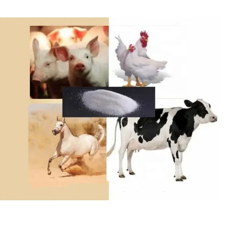 Broiler Feed Chicken Poultry Broiler Fattening Feed Additives