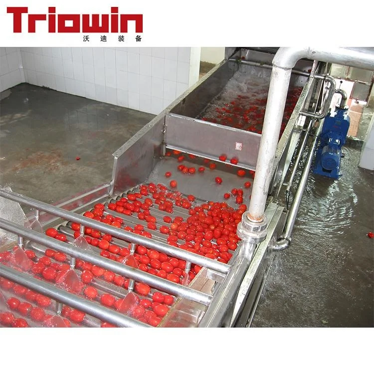 Tomato factory washing machine/air blow washer