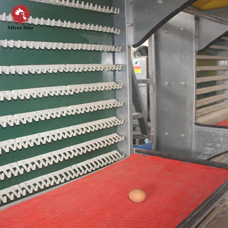 2024 New Automatic Battery Cage H Type Layer Chicken Coop with Galvanized Steel Material for chicken farm