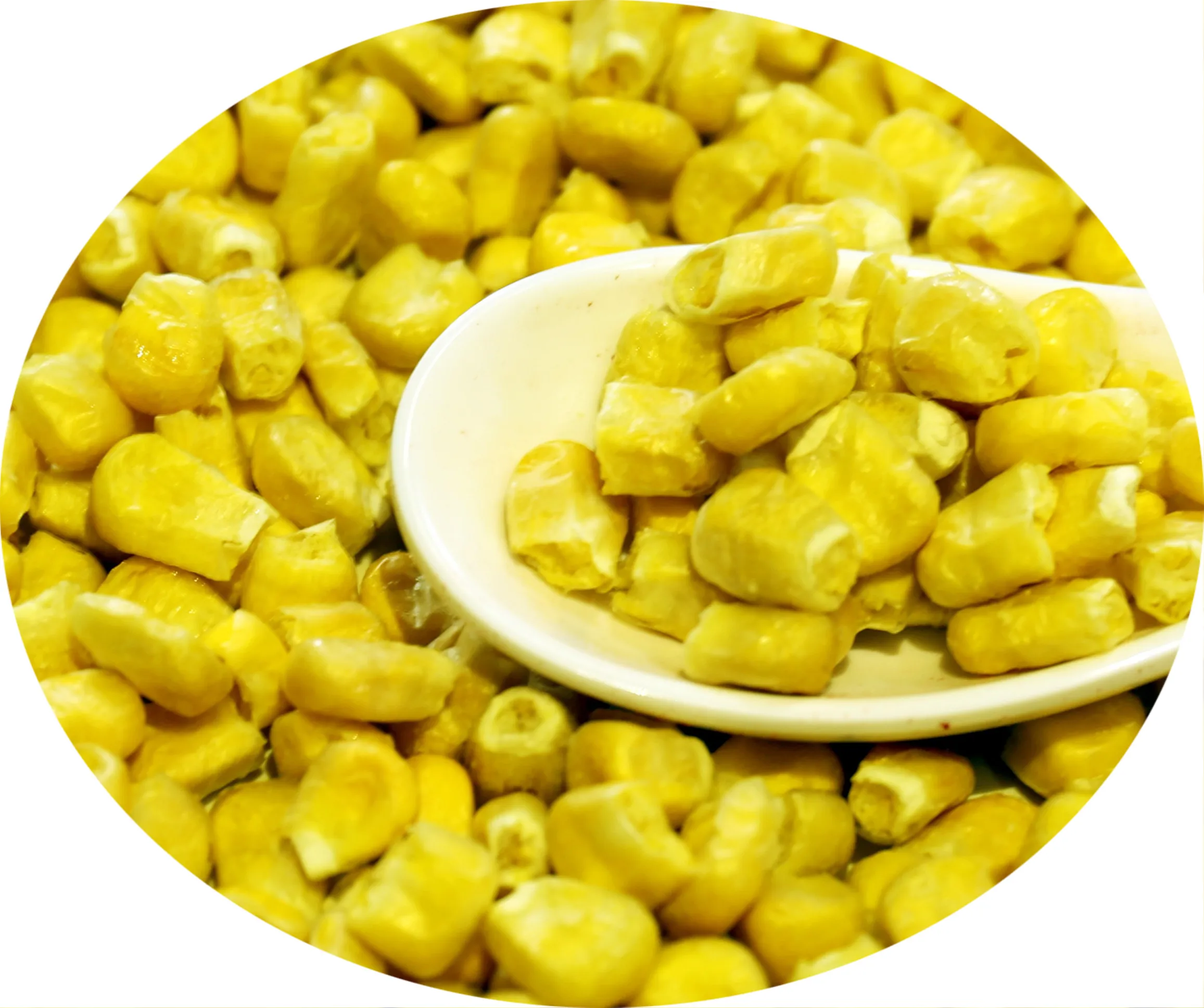 China Supplier Wellness Food in Bulk Freeze Dried Vegetables Dried Sweet Corn