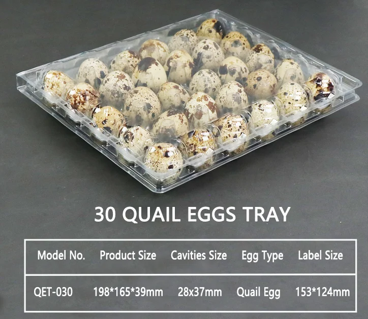 Plastic Quail Egg Packaging Suppliers Plastic Quail Egg Tray 30 Holes Manufacturer