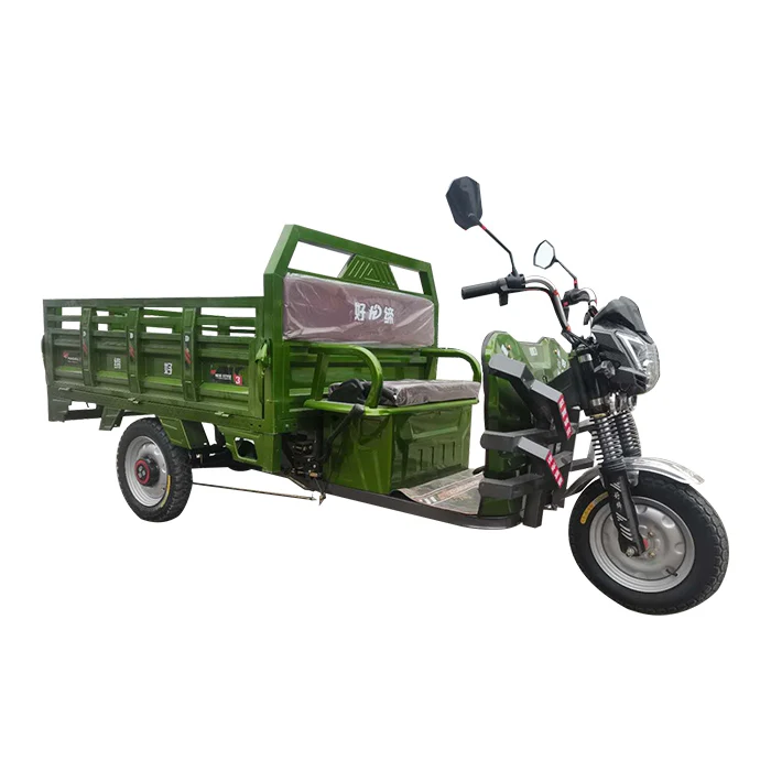 
New Energy Moped e-Tricycle Cargo loader three wheeler electric rickshaw Motor Tricycle Transport 
