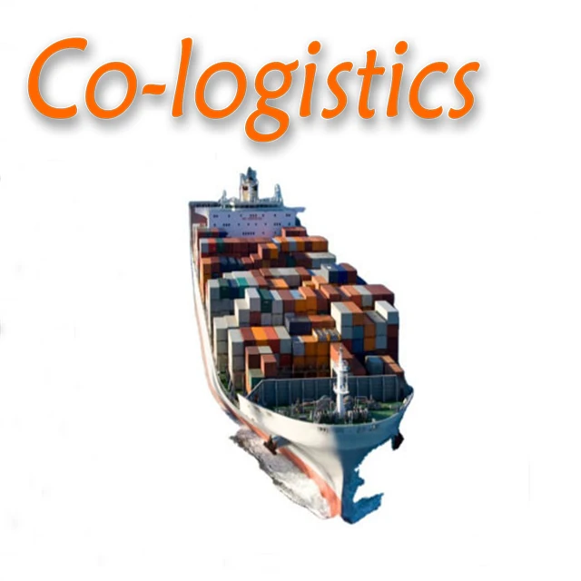 Sea Freight Services:FCL Door to Port Transportation from China to The United Arab Emirates with Cheap Price