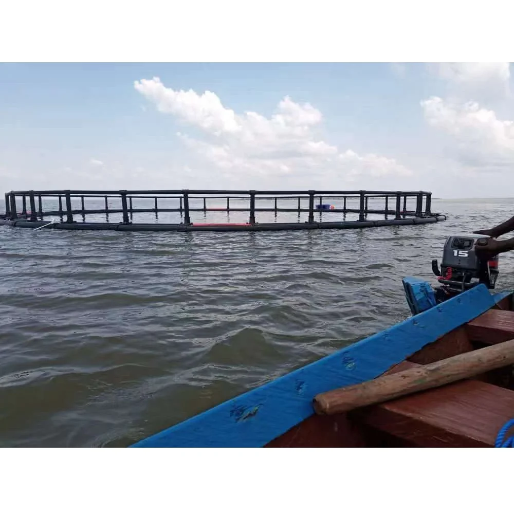 HDPE Floating Tilapia Fish Cage for Aquaculture Traps Chanos chanos