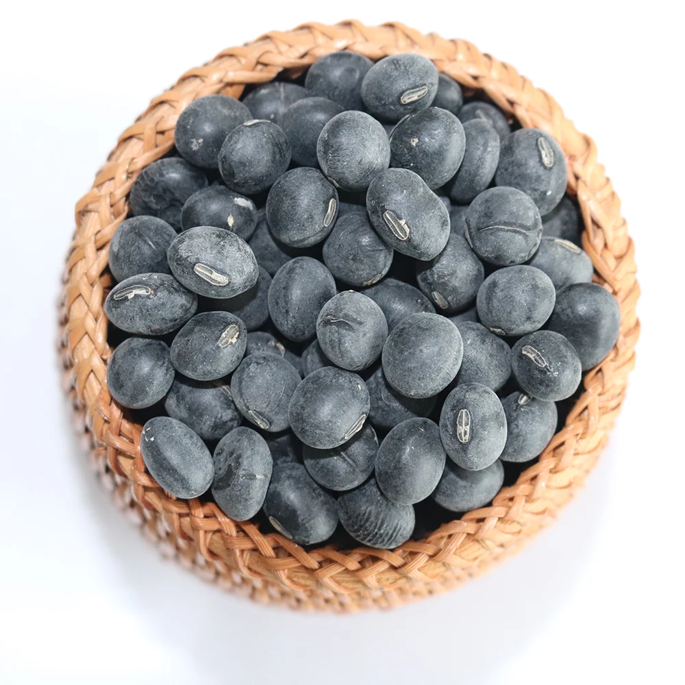 Good Quality Fresh Chinese Black soy Beans
