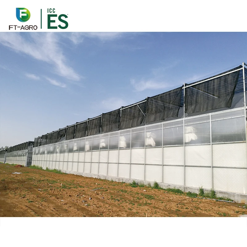 Commercial Hydroponic Systems Growing Greenhouse Vegetables Multi-span Green House with Climate Control System