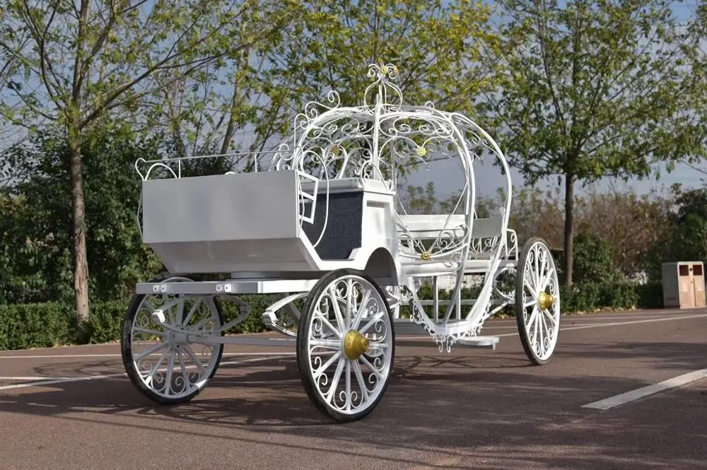 
pony drawn carriage buggy cinderella pumpkin coach 