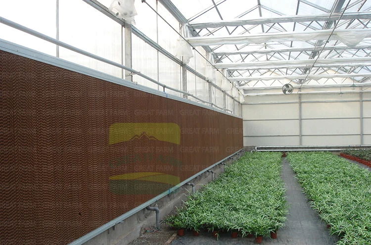 Chicken broiler farm house design chicken farm shed building