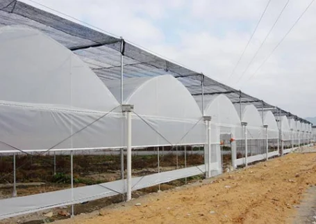 Jiapei Multi-span low cost agricultural tomato hydroponic Growing System vertical planting Cultivation flim blueberry greenhouse