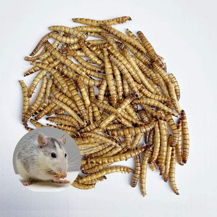 
china factory Bulk premiumfish food natural dried packed dry worms yellow mealworm 